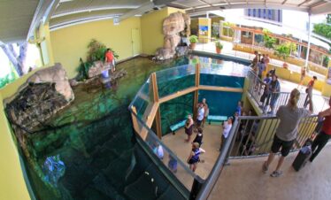 Aquarium