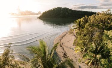 The Daintree