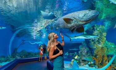 Cairns Aquarium