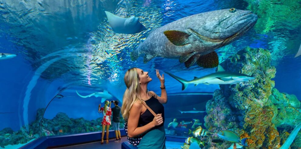 Cairns Aquarium