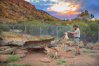 Alice Springs Desert Park