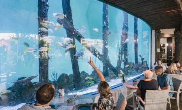 3 Course Dinner Aquarium at Twilight