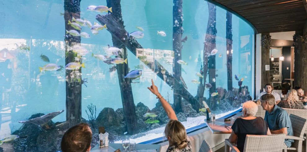 3 Course Dinner Aquarium at Twilight