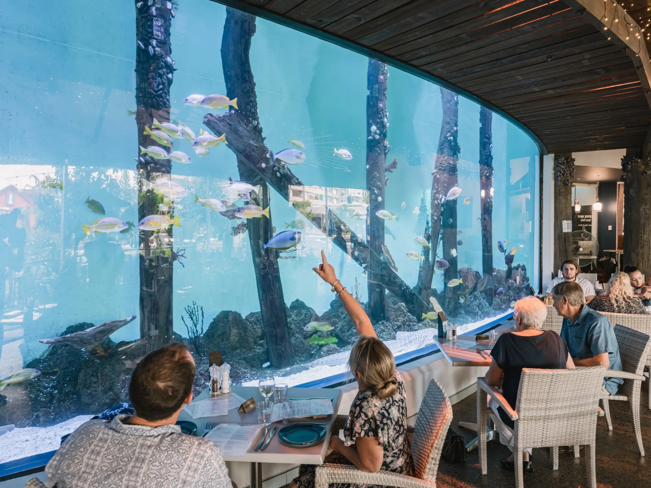 3 Course Dinner Aquarium at Twilight