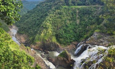 Kuranda Day Trip from Cairns