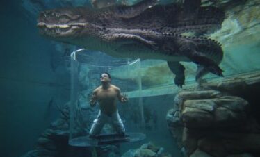 Crocosaurus Cove