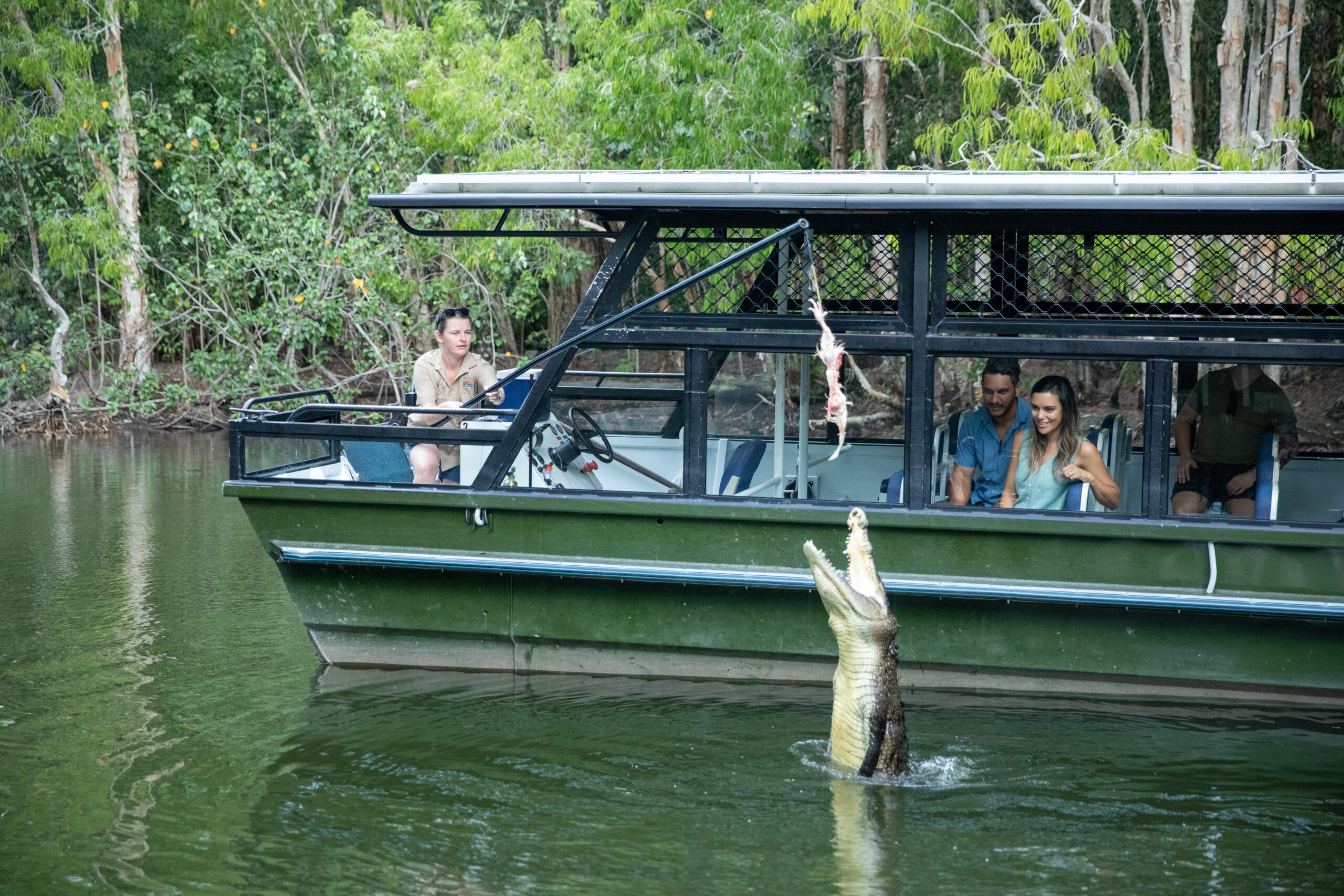 1 Spectacular Hartley’s Crocodile Adventures Ticket: All-Inclusive Admission Passes