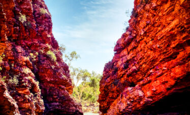1 Day West MacDonnell Ranges Tour