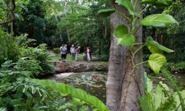 Cooktown Botanic Gardens