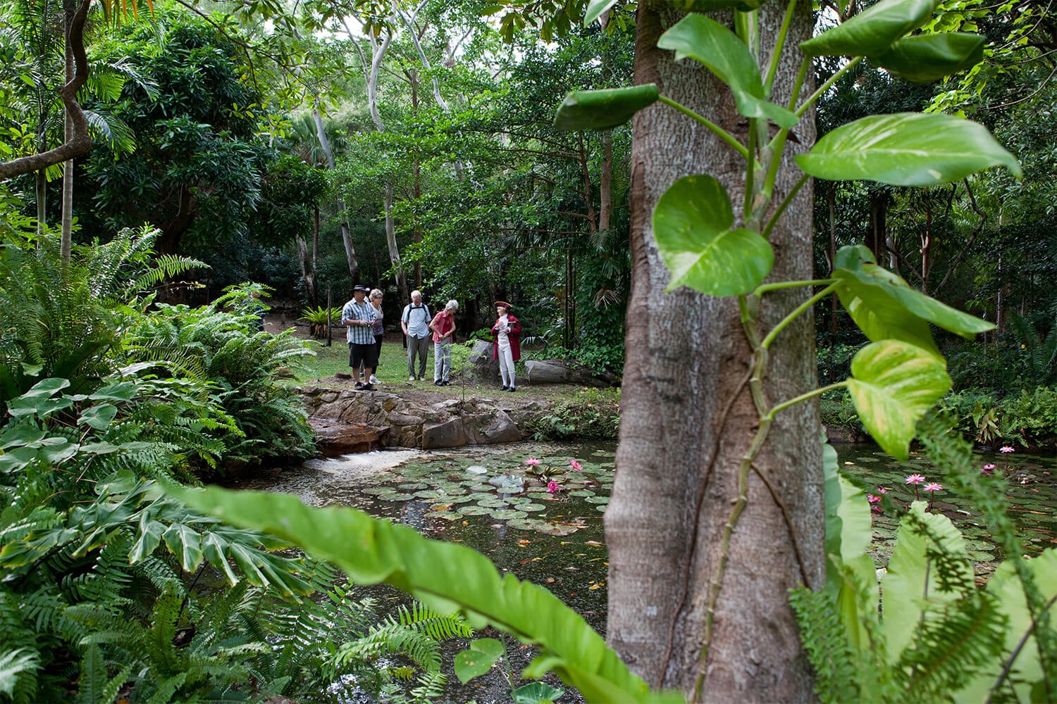 Cooktown Botanic Gardens
